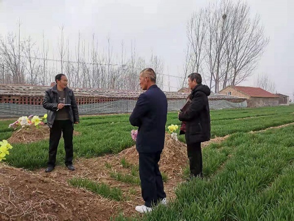 濮阳东明刘家坟地看风水