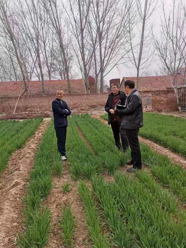 濮阳东明刘家坟地看风水