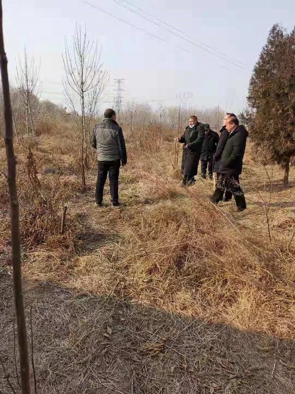 濮阳看风水
